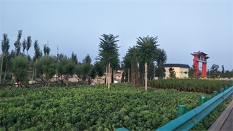 標(biāo)題：張家口經(jīng)開區(qū)腰站堡飲用水源地生態(tài)涵養(yǎng)綠化
瀏覽次數(shù)：2512
發(fā)表時間：2020-10-16