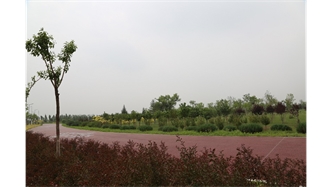 標(biāo)題：大青山南坡生態(tài)修復(fù)
瀏覽次數(shù)：2100
發(fā)表時間：2020-10-16