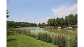 標題：包頭市民公園
瀏覽次數(shù)：1489
發(fā)表時間：2020-10-16