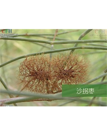 標(biāo)題：名貴樹種
瀏覽次數(shù)：1488
發(fā)表時(shí)間：2020-10-17