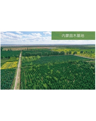 標(biāo)題：苗木基地
瀏覽次數(shù)：1944
發(fā)表時(shí)間：2020-10-17
