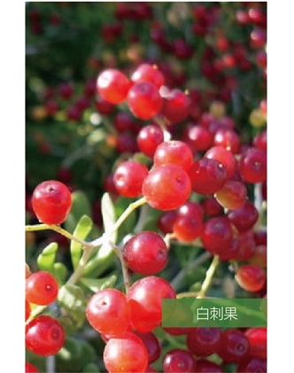 標(biāo)題：名貴樹種
瀏覽次數(shù)：1381
發(fā)表時間：2020-10-17