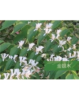 標(biāo)題：?jiǎn)坦嗄?瀏覽次數(shù)：1420
發(fā)表時(shí)間：2020-10-17