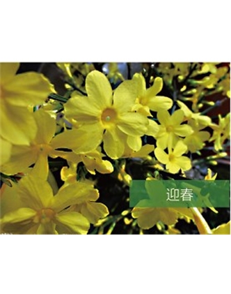 標(biāo)題：?jiǎn)坦嗄?瀏覽次數(shù)：1335
發(fā)表時(shí)間：2020-10-17