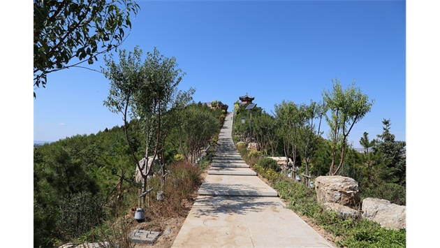 標(biāo)題：張家口太子山山體修復(fù)
瀏覽次數(shù)：18204
發(fā)表時(shí)間：2020-11-12